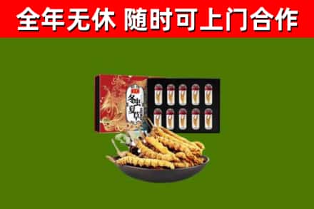 博望回收冬虫夏草价格